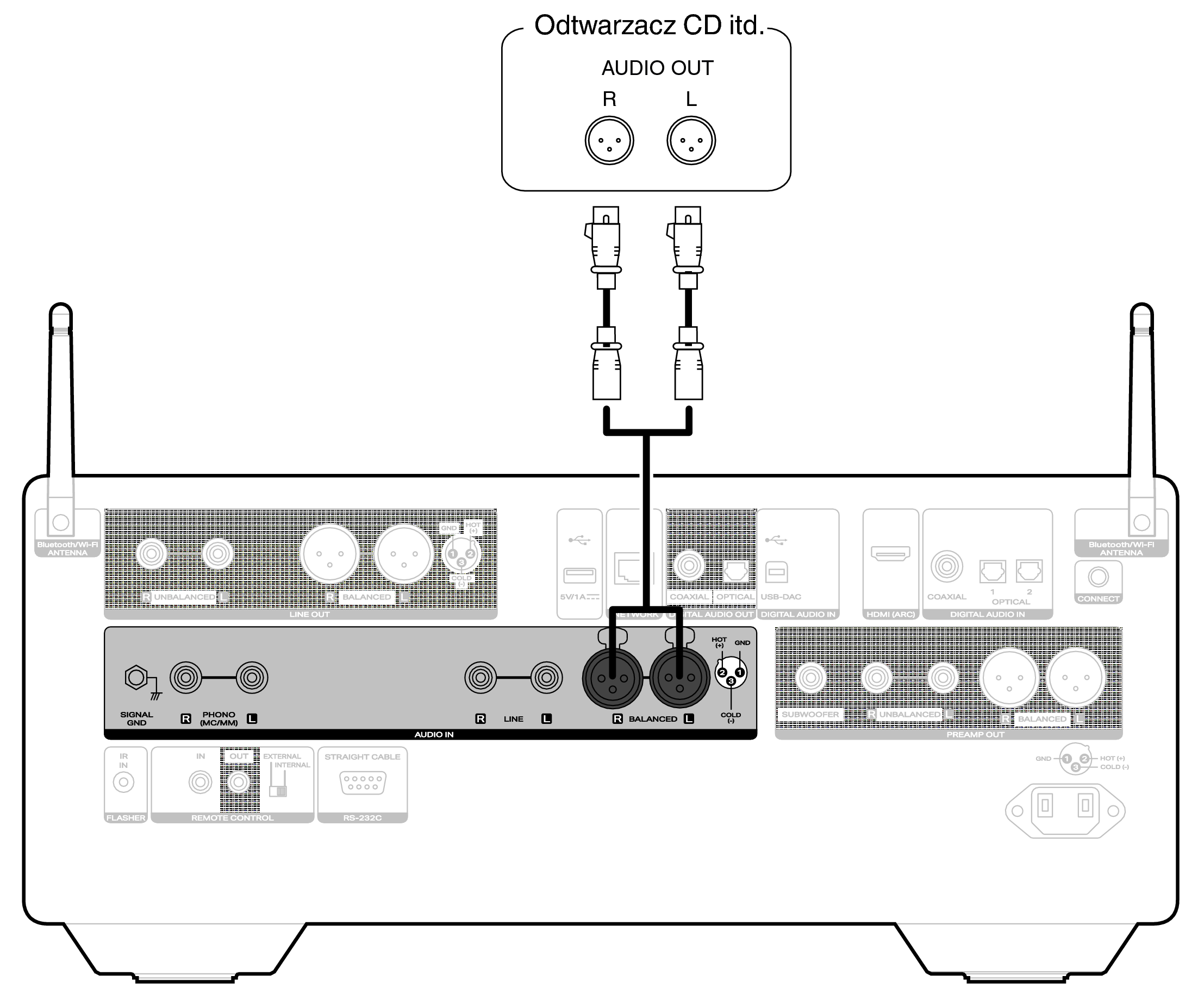 Conne player XLR LINK10n